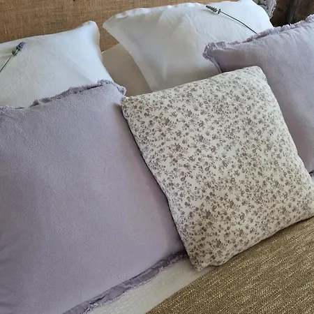 Vendégház Au Clair De Ce Sont Les Petits Details Qui Font La Difference 4*
